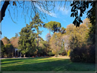 foto Parco Sebellin